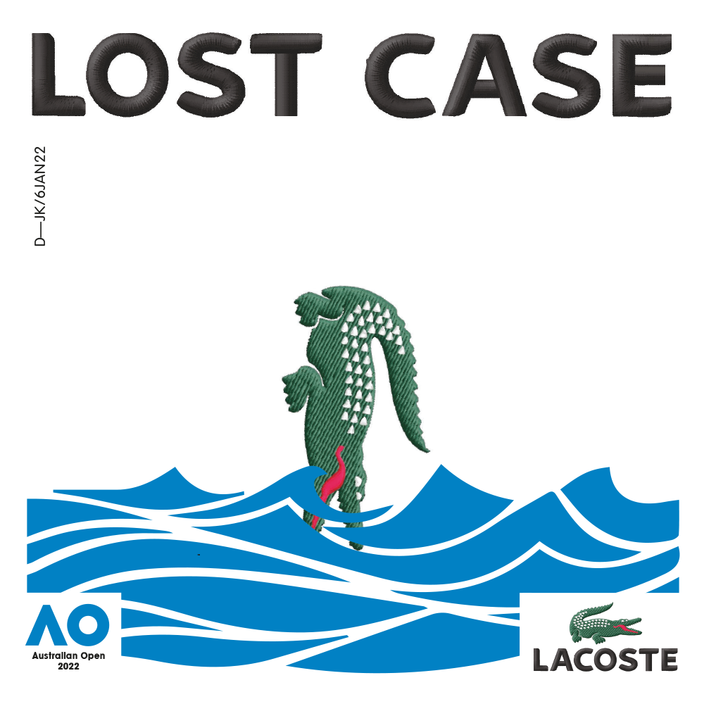 LOST CASE.png