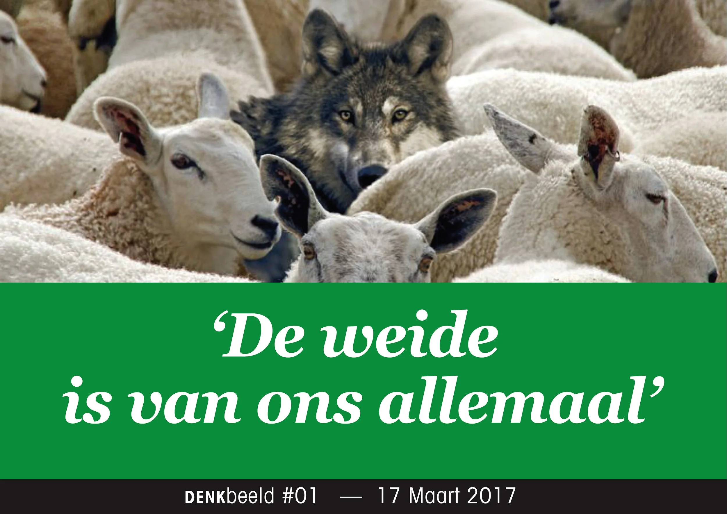 DENK-BEELD#01-A.jpg