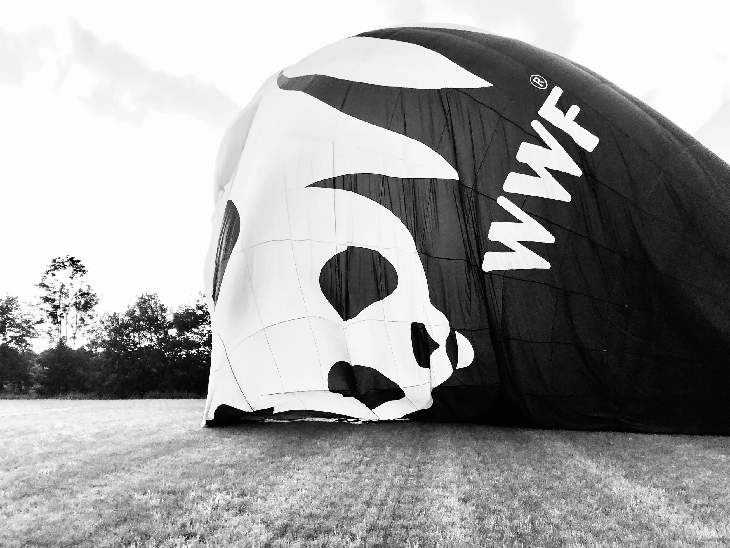 WNF_LUCHTBALLON_AUG22#3.jpg