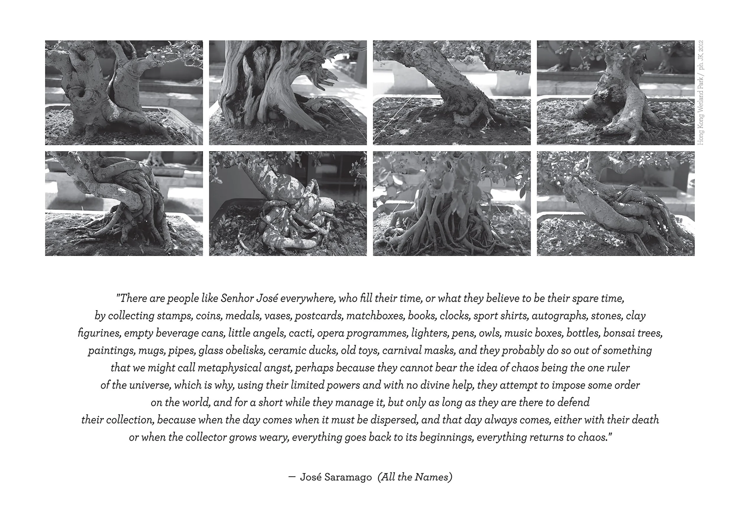 BONSAI SEQUENCE.jpg