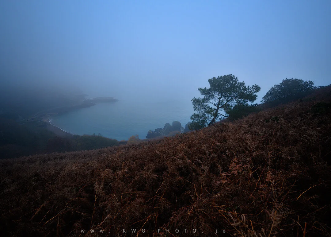 Misty Bouley Bay