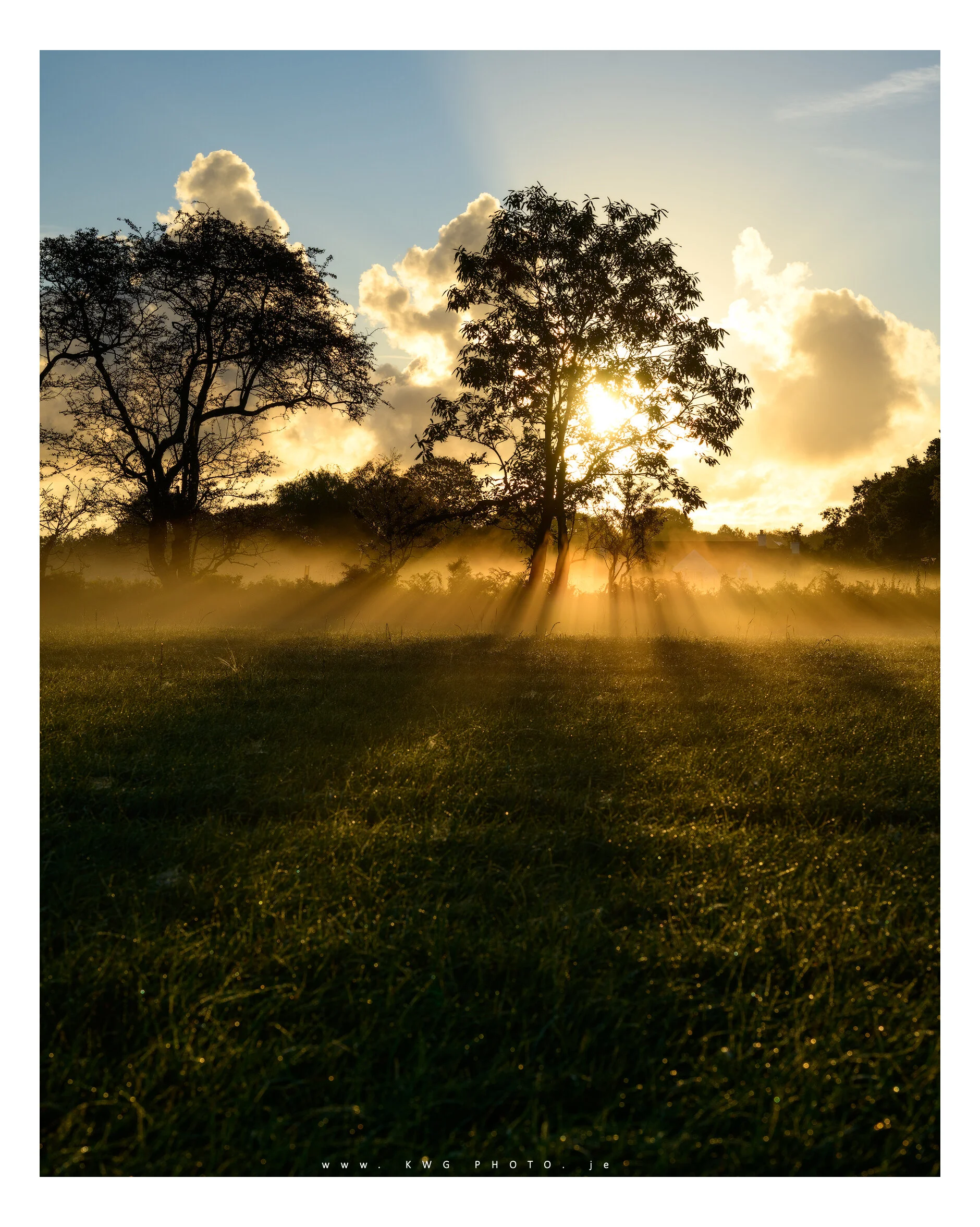 Misty field wall in St Martin