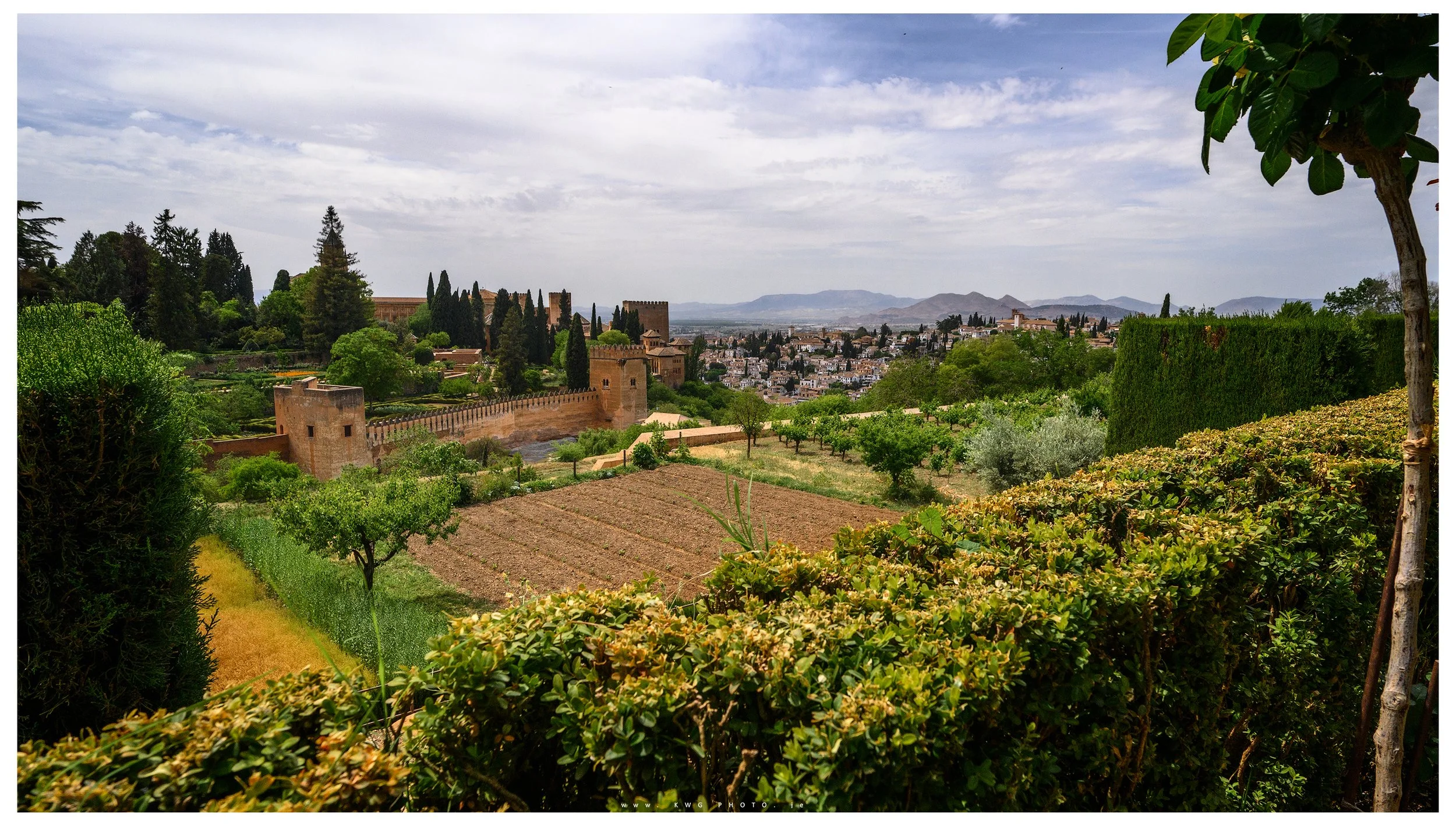 _DSC4924-Edit-copy.jpg