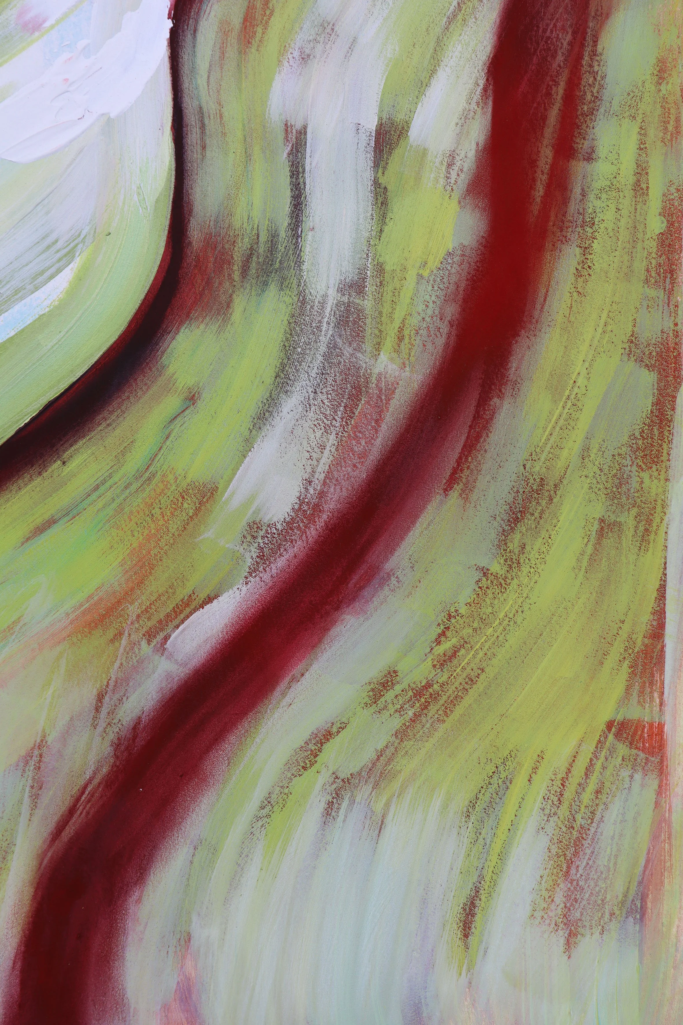 Sweet Pea, Gallery 475
