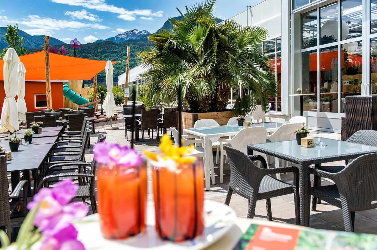 orchideenwelt-restaurant.jpg