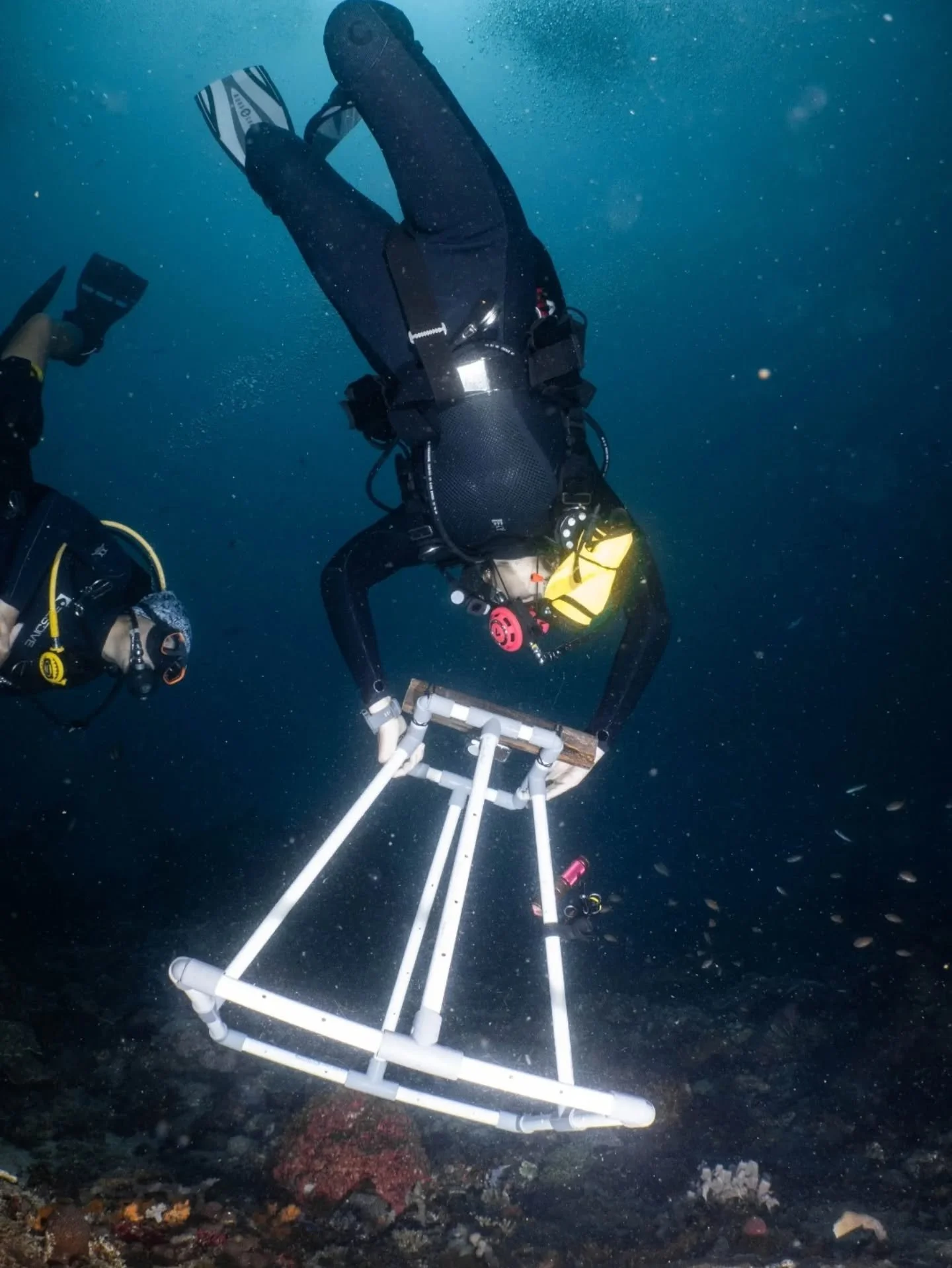 📷🪸 With benthic surveys we can assess coral reef health by documenting benthic composition, including coral and macroalgae coverage. This is essential for tracking ecological changes over time &amp; informing conservation efforts in Marine Protecte