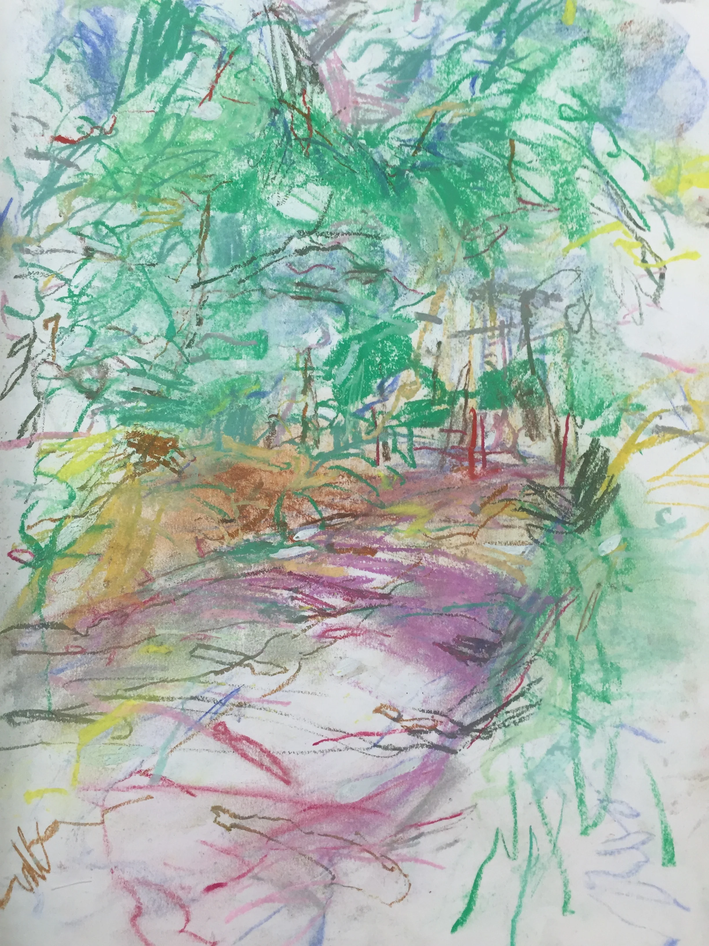 Delemere Forest Pathways