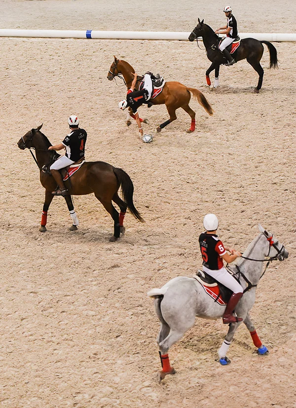 The Games People Play (on Horseback!) Horseball — Horse & Rider Living