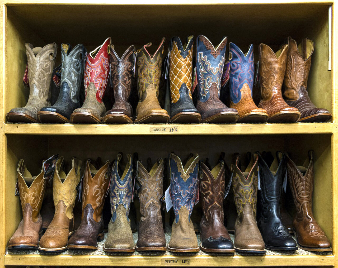 roper horseshoe boots