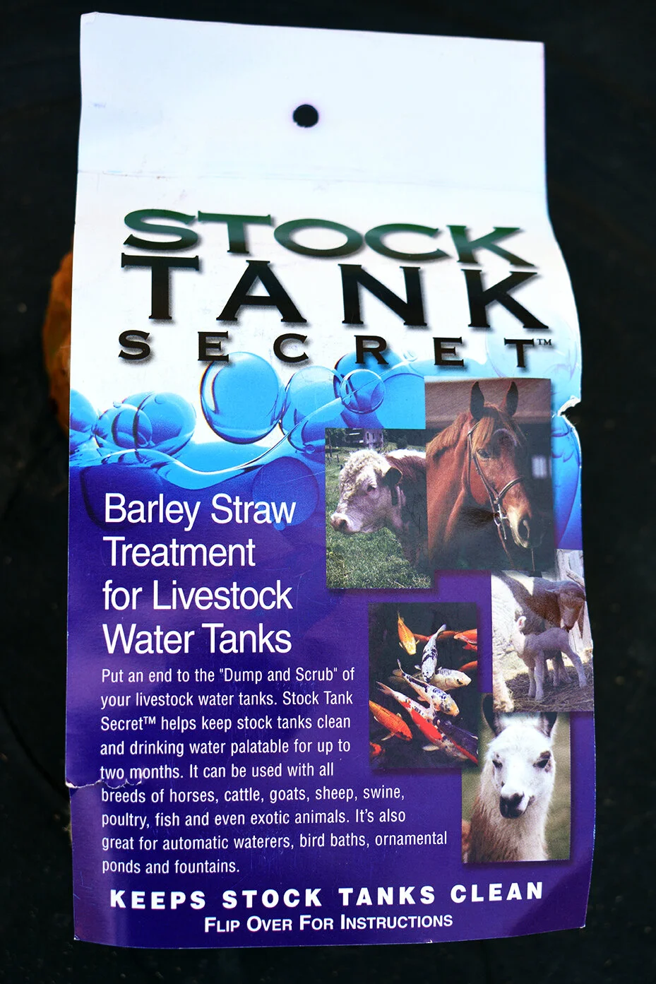 Blue Green Algae - Keep Your Pets Safe - Pet Poison Helpline