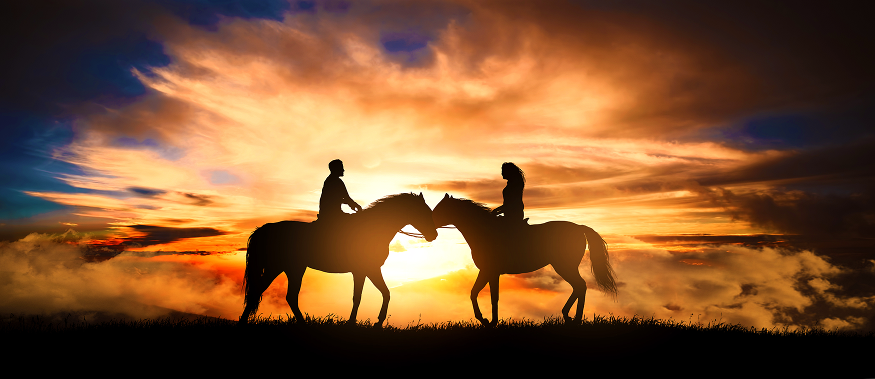 Free Equestrian Dating Sites