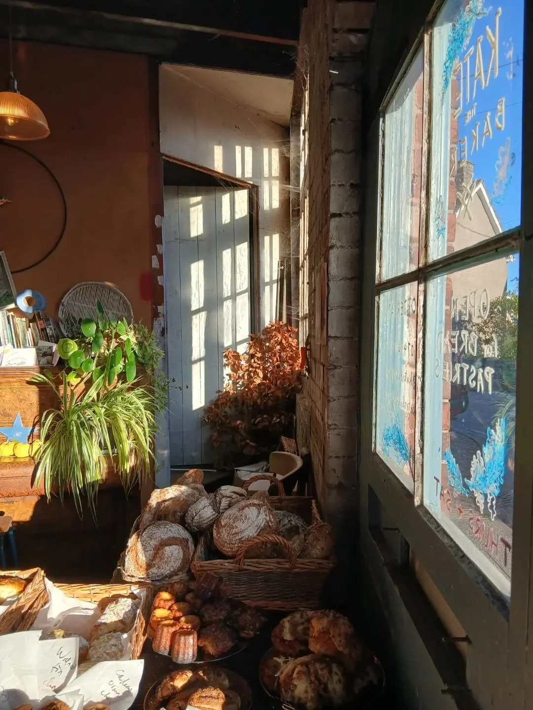 The morning sun and fresh cinnamon buns from Kate's bakery, what a way to start your day. I love how the light plays on the wall and all the plants are reaching towards the glass.

You could be here too. Join me in February for a two-day writing retr