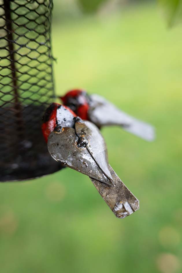 Recycled metal bird feeder garden ornament