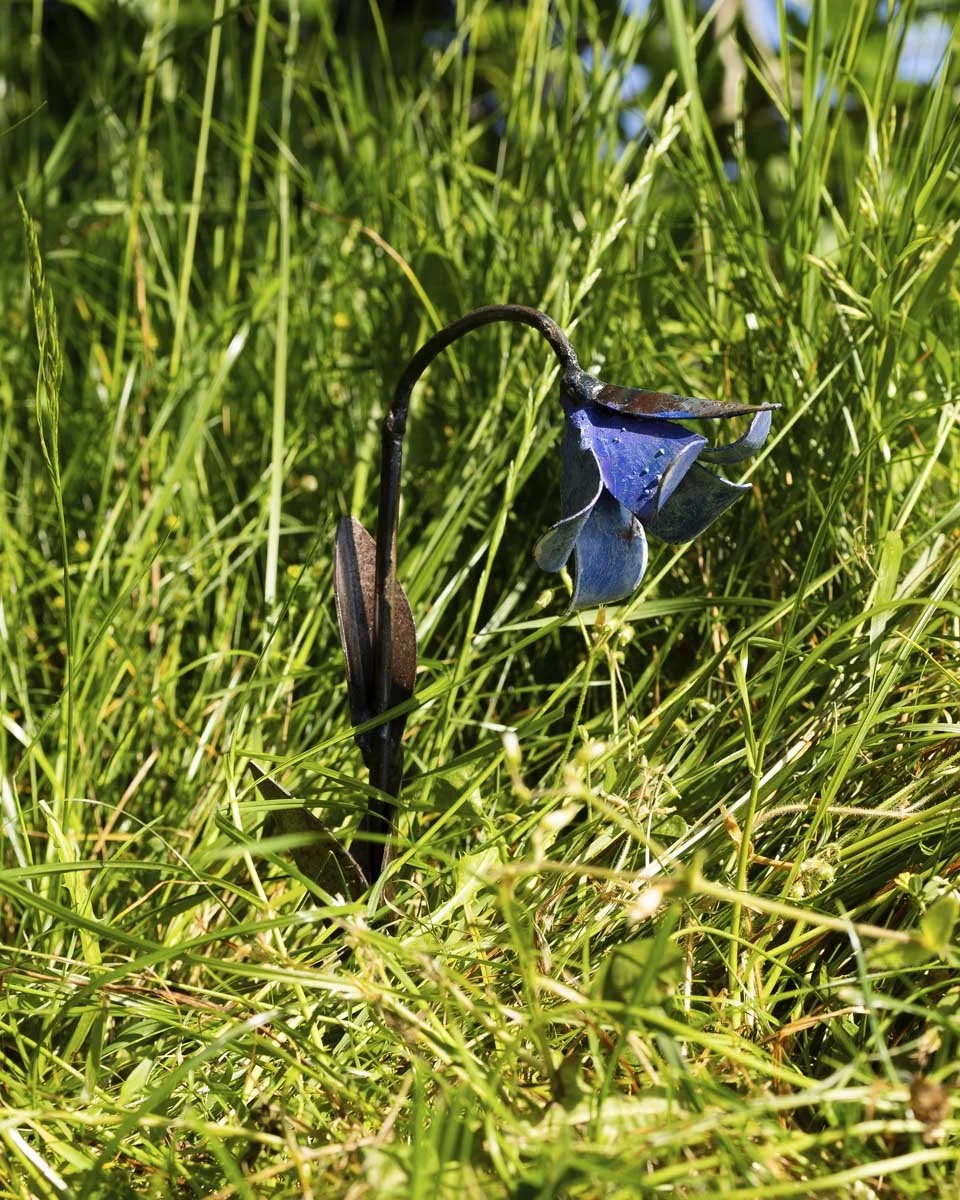 minibluebells_LR4.jpg