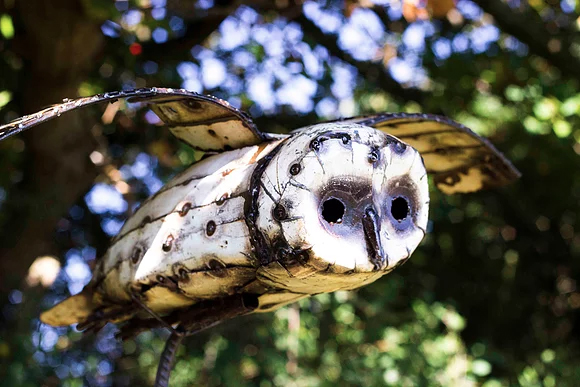 flying_barn_owl