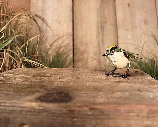 goldcrest_garden_ornament
