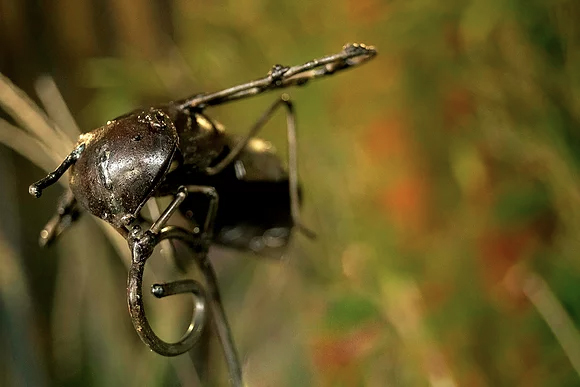 chi-africa-sculpture-bee
