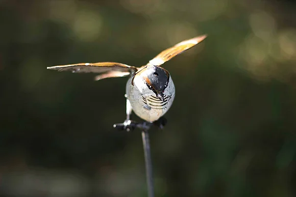 flying_sparrow_on_rod