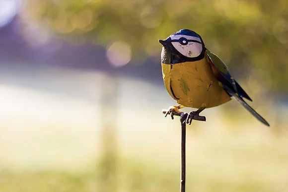blue_tit_on_rod_sculpture