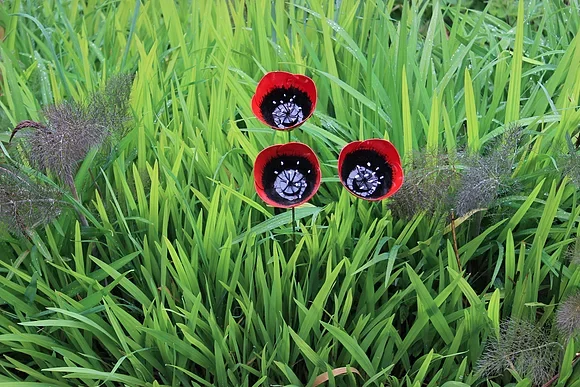 poppy_on_rod_ornament_uk