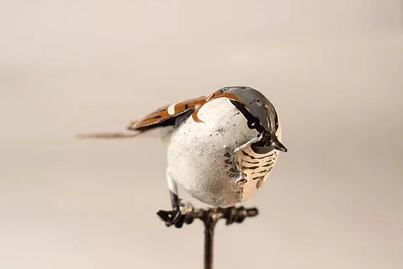 sparrow_on_rod
