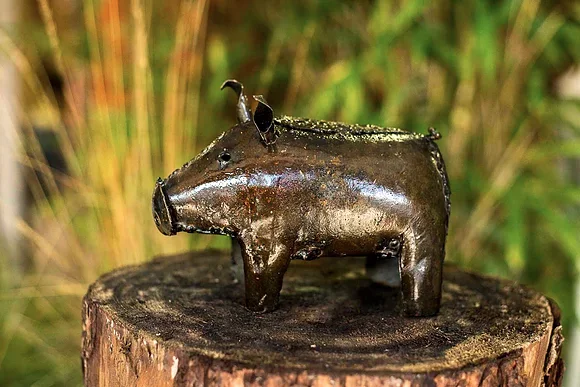 pig1.jpg