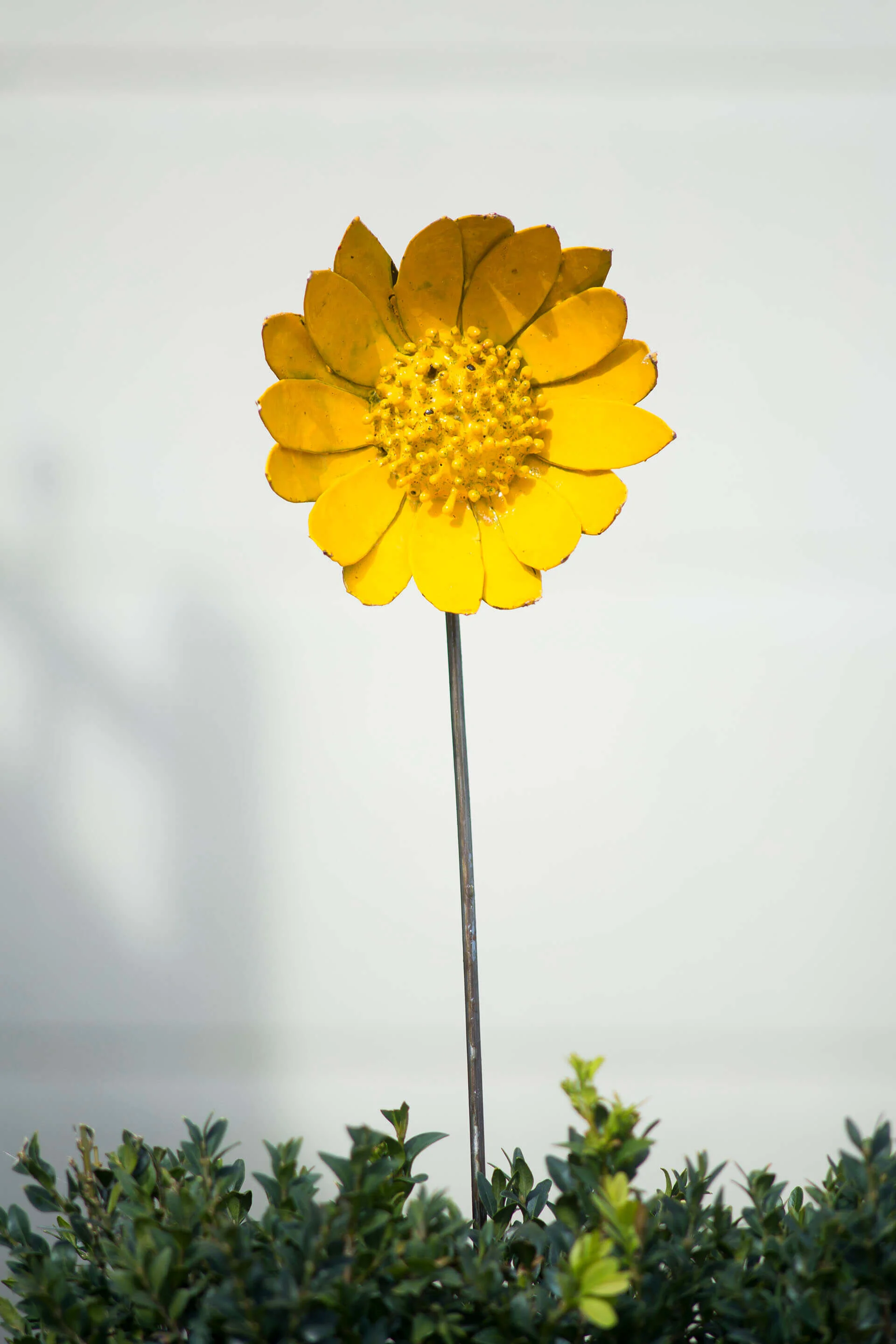 yellow_daisy_garden_ornament