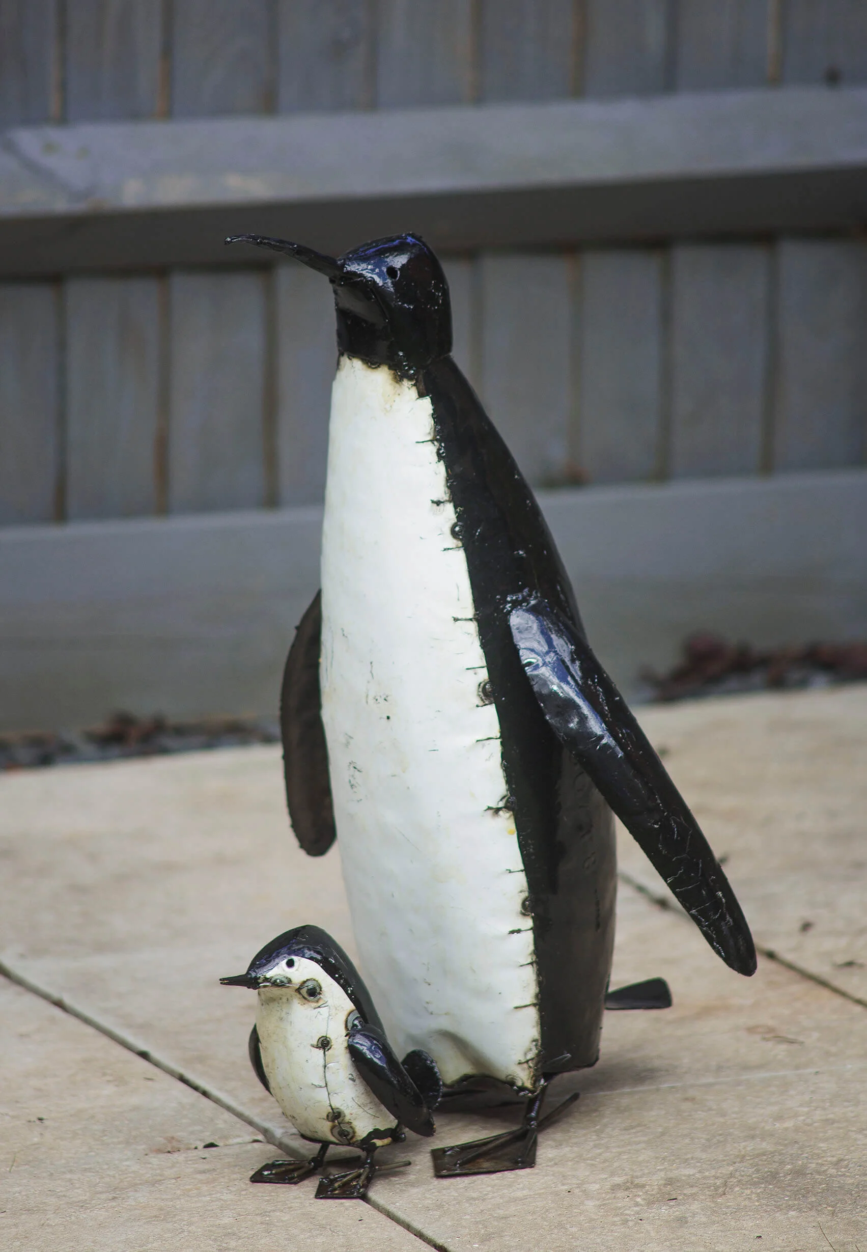 mother_and_penguin_chick