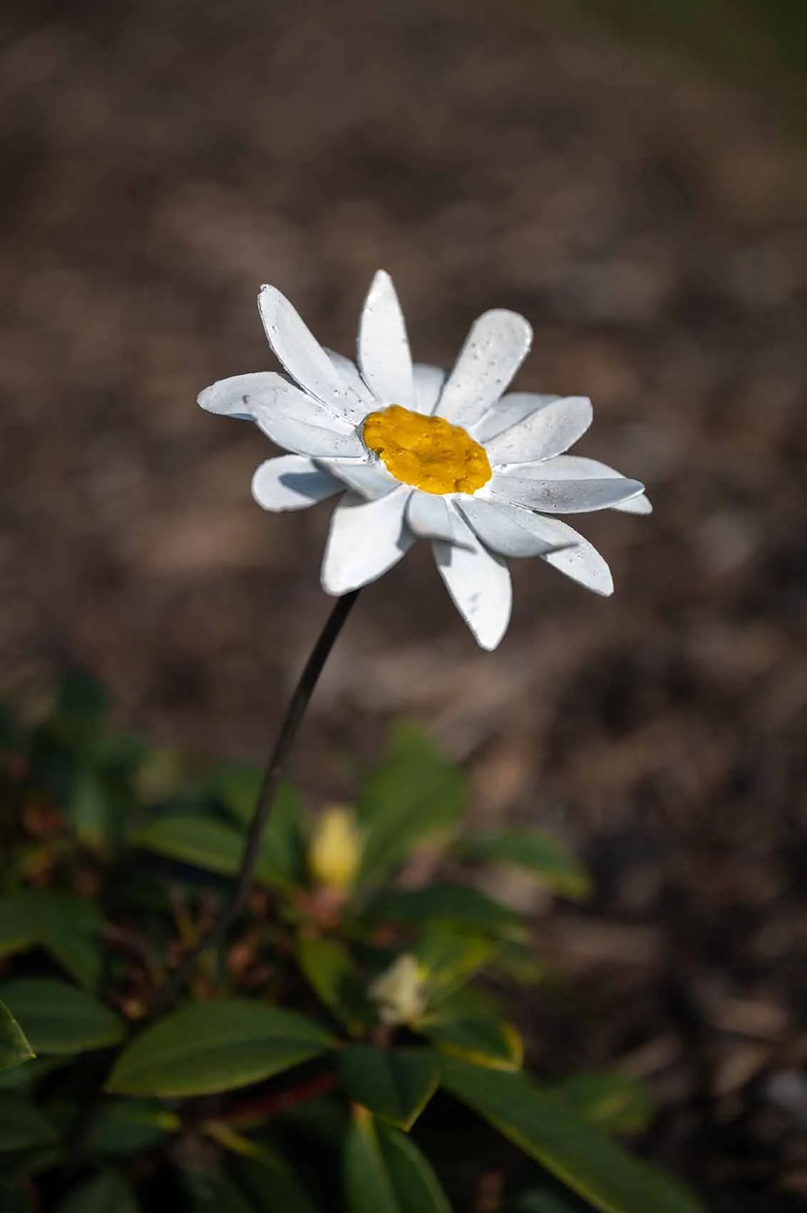 white petal daisy ornament with bright yellow centre