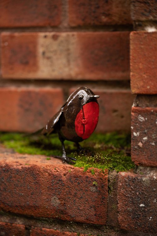 Robin  Happy Beaks