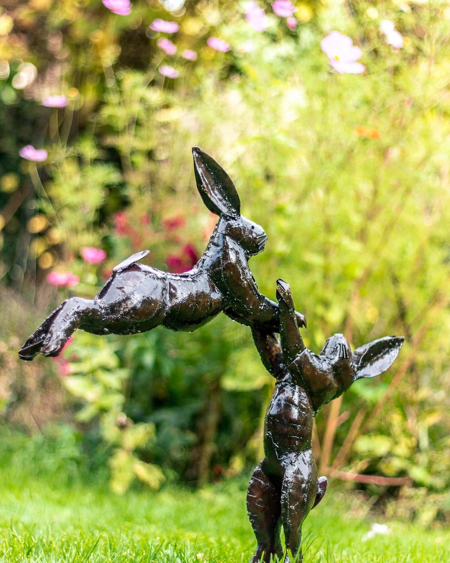 BLACK FRIDAY IS LIVE!
Visit the website to shop up to 50% off selected products. Be quick! Black Friday ends on Monday 27th Nov. 
#blackfriday #sale #hares #seagulls #bluetit #gardensculpture #ecofriendlyliving #sustainabledesign #christmasgifting