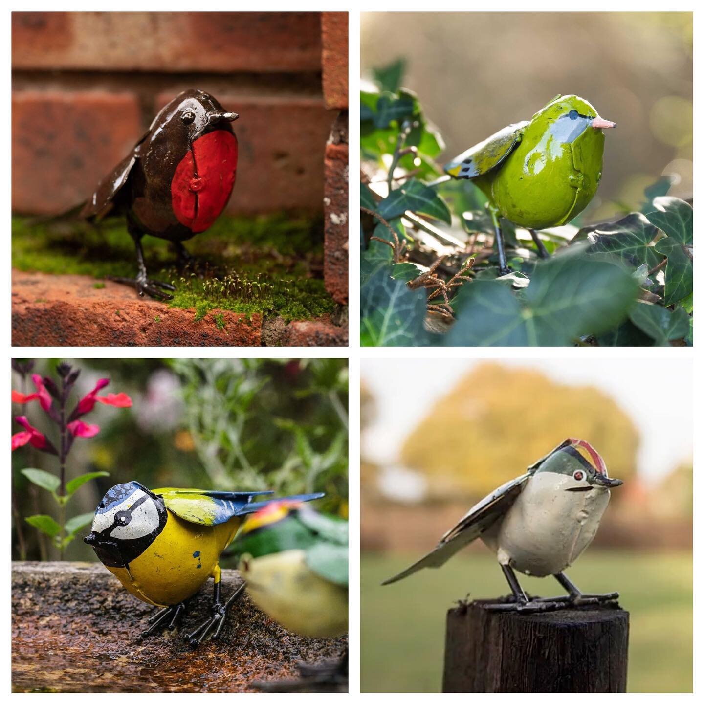 Which of our British Garden Birds is your favourite? View the whole range on our website. 
#robin #greenfinch #bluetit #goldcrest
#britishgardenbirds #unique #reclaimed #reused #recycled