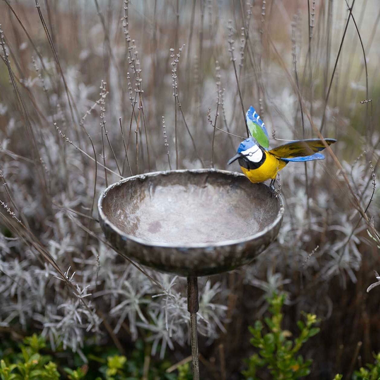 Winter is an important time to continue feeding garden birds - they need food to build fat stores to keep them warm through cold winter nights. During chillier months, you may find you need to replenish your bird feeder twice each day. Even small bir