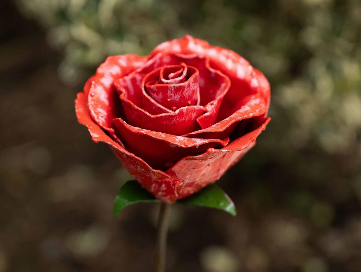 Thanks goodness for February! Love is in the air with #valentines just round the corner. Treat your loved one with a recycled metal valentines rose, or maybe one of our forget me nots. Order online for Valentines delivery. 
#redrose #forgetmenot #val