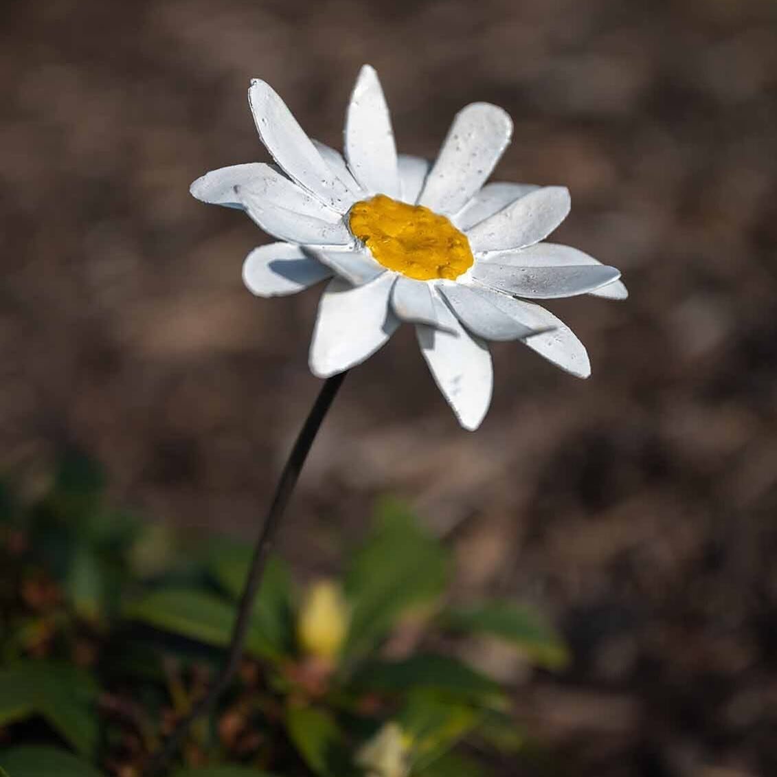 #daisy our April birth flower. Full of springtime vibes and a great present for those special April birthdays. Why not get two and treat a special couple to a pair for an anniversary? Each piece is completely unique, and handmade using recycled metal