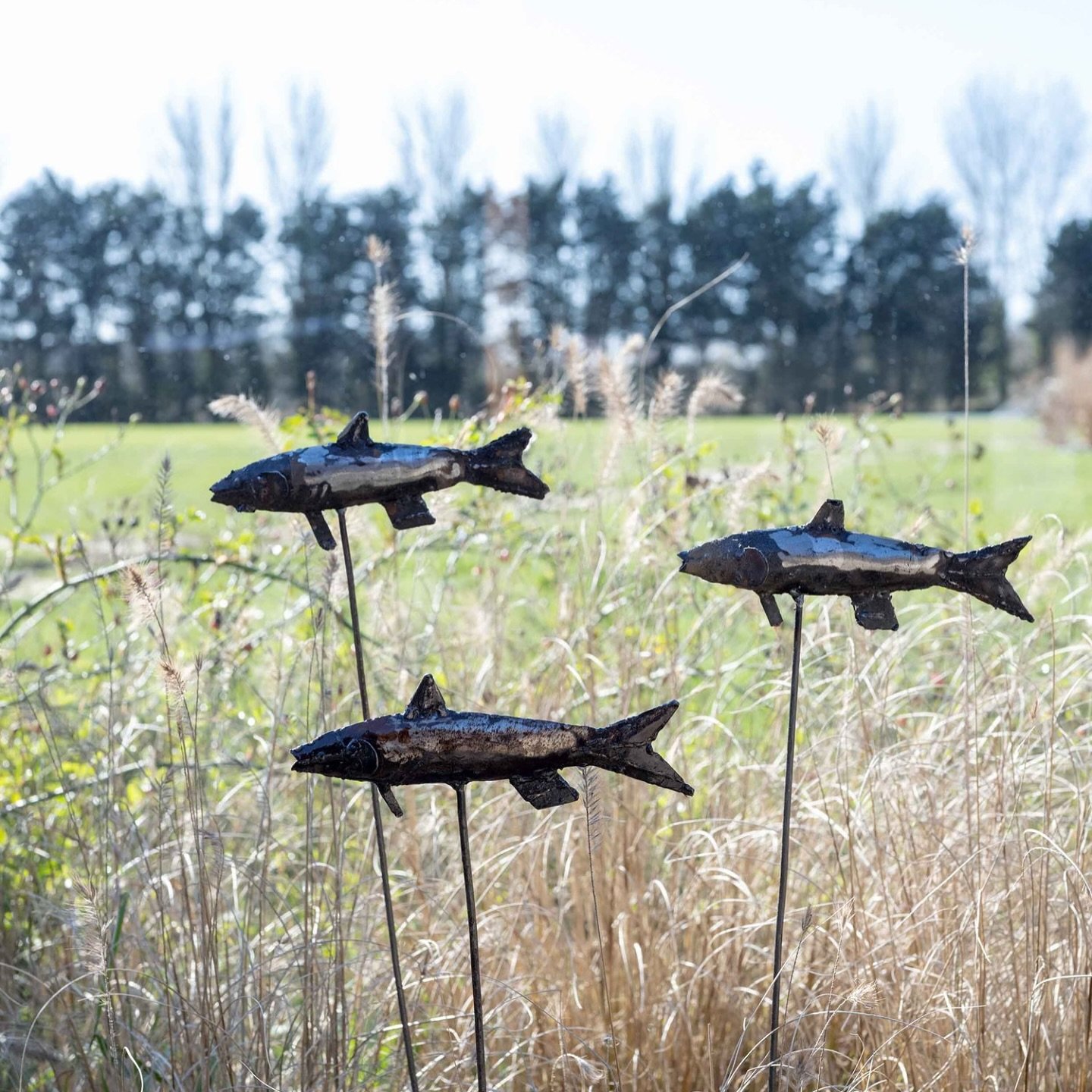 Perfect gift for the Pisces in your life! 🌊🐟 This beautifully crafted recycled fish garden ornament on rod adds a touch of creativity and serenity to any garden. ♓✨ Sustainable and unique &ndash; just like a true Pisces. #PiscesVibes #RecycledArt #