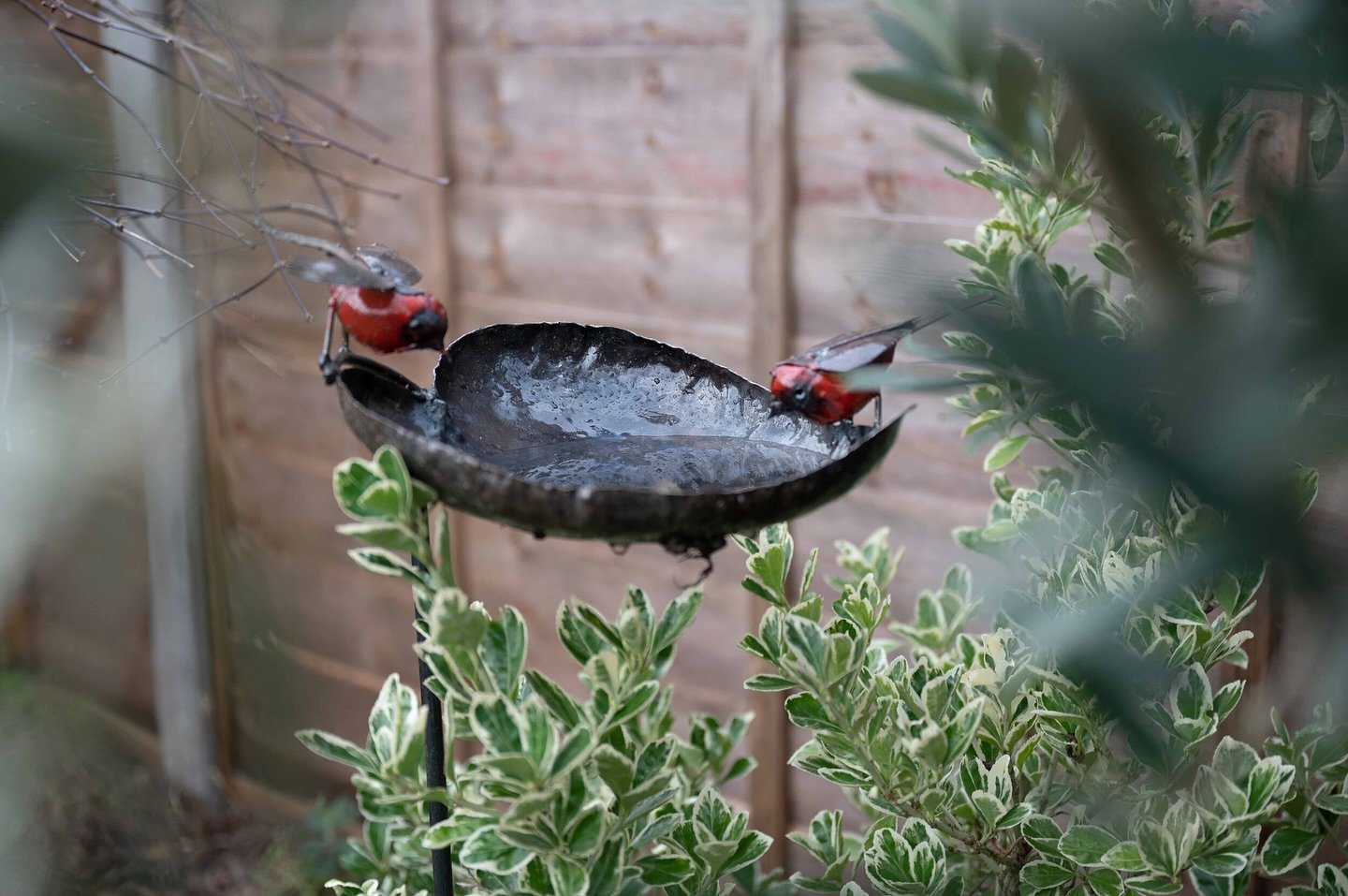Keep your feathered friends fed!
As the birds start to pair up for mating season, it&rsquo;s important to make sure your bird feeder is always topped up! Our range of handmade bird feeders, crafted from recycled metal, are perfect for attracting all 