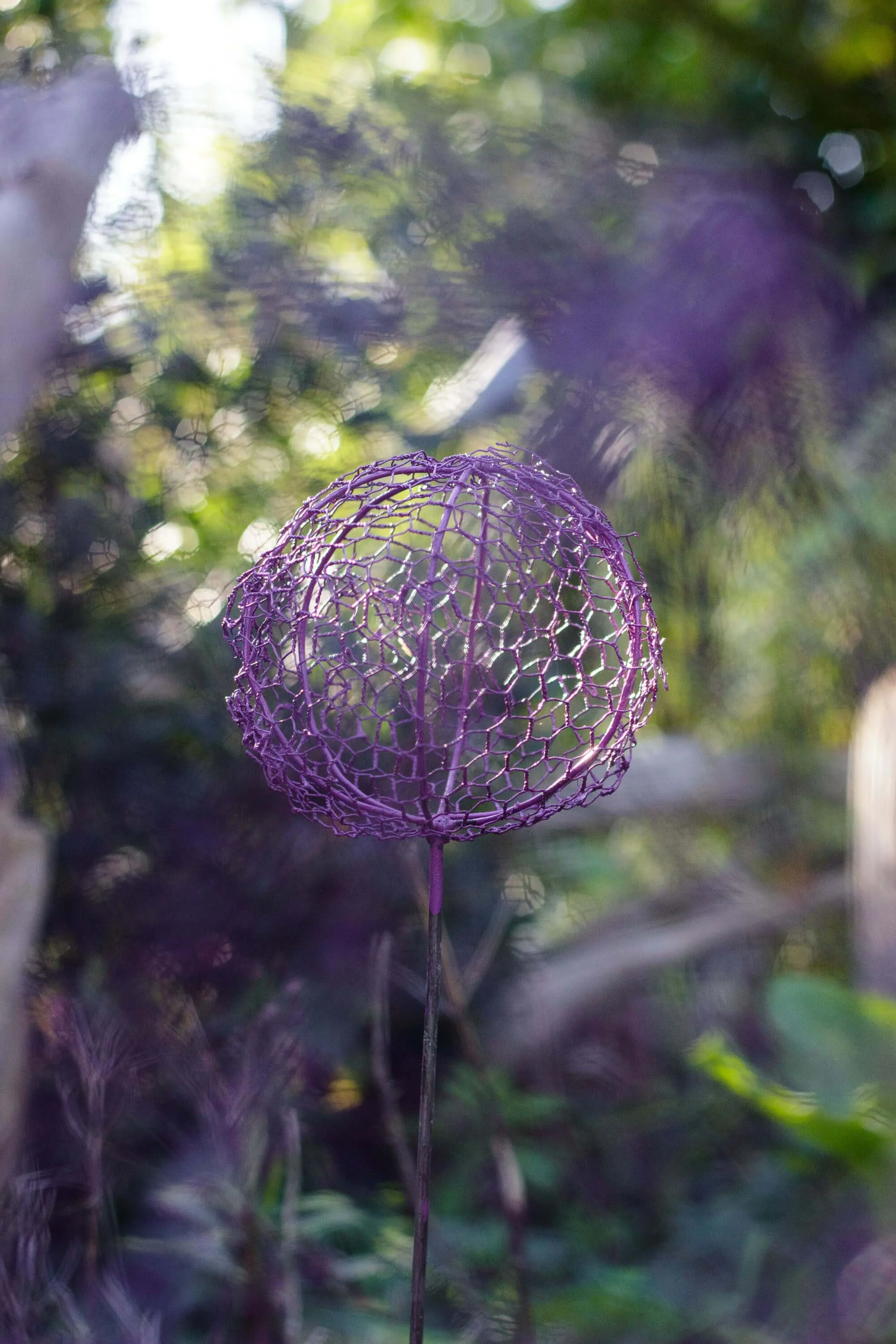 wire_allium_chi-africa-8.jpg