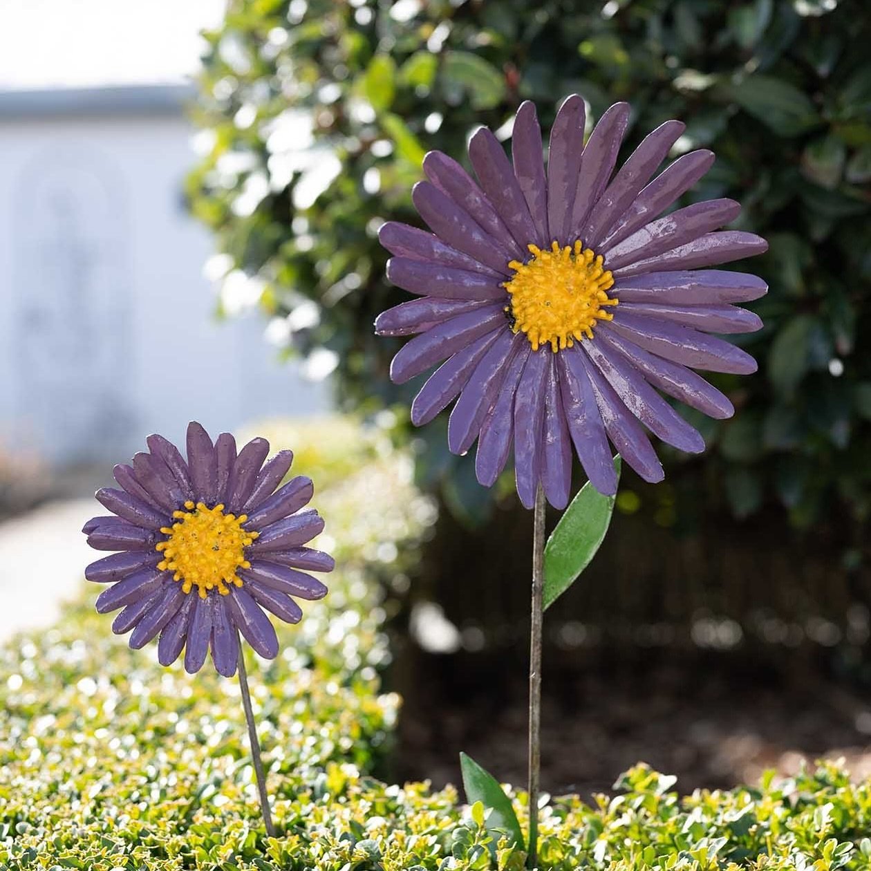 At Chi-Africa, we believe in the healing power of gardens &mdash; not just for the body, but for the mind too.

Spending time outdoors, nurturing plants, and creating peaceful spaces with meaningful ornaments can help reduce stress, improve mood, and