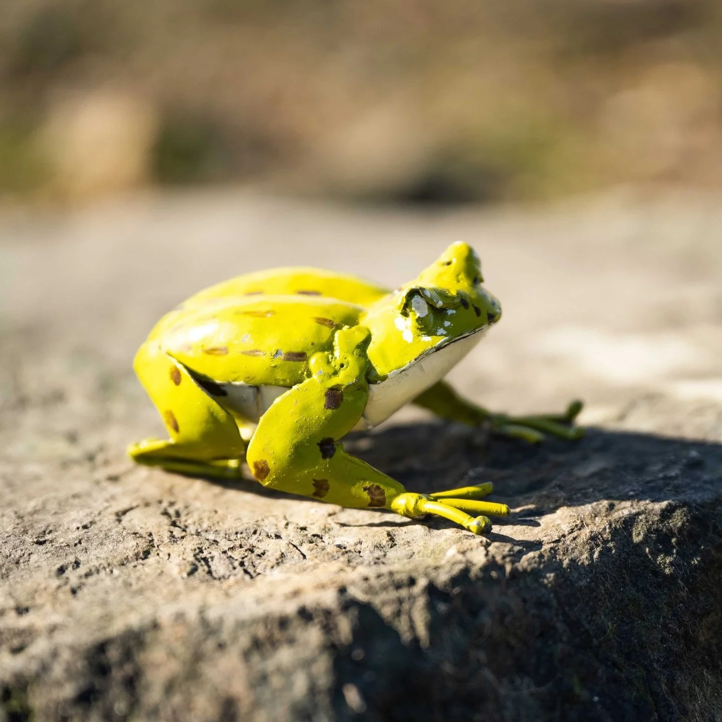 Plastic Free July with Chi-Africa
At Chi-Africa, every piece tells a story &mdash; not just of beauty and craftsmanship, but of responsibility. 

This #PlasticFreeJuly, we&rsquo;re proud to say:
✨ All our products are made from recycled metals
📦 Pac