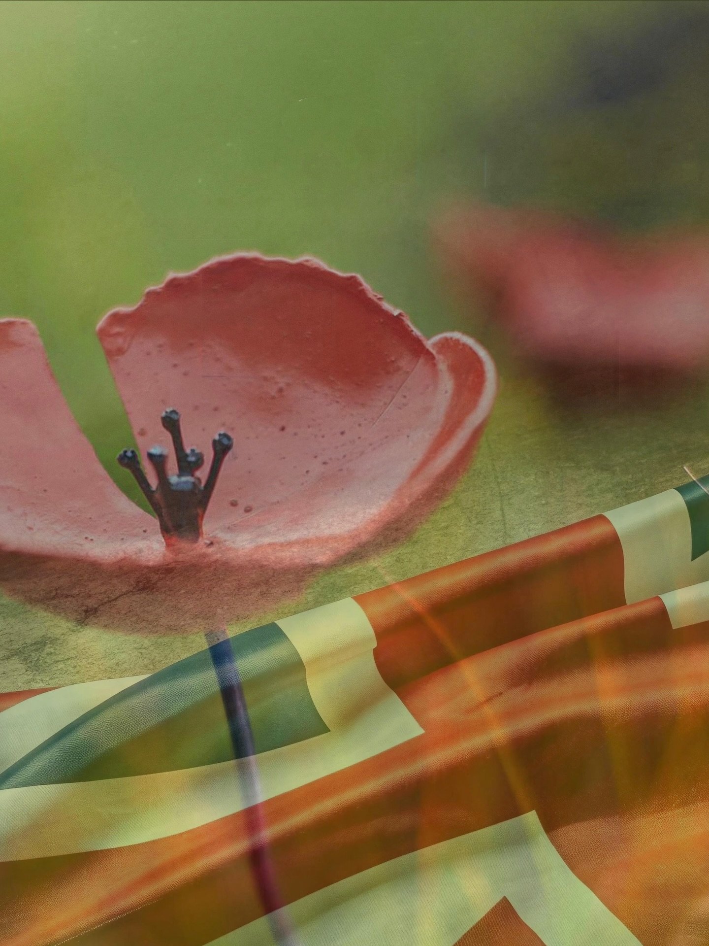 We will remember them.