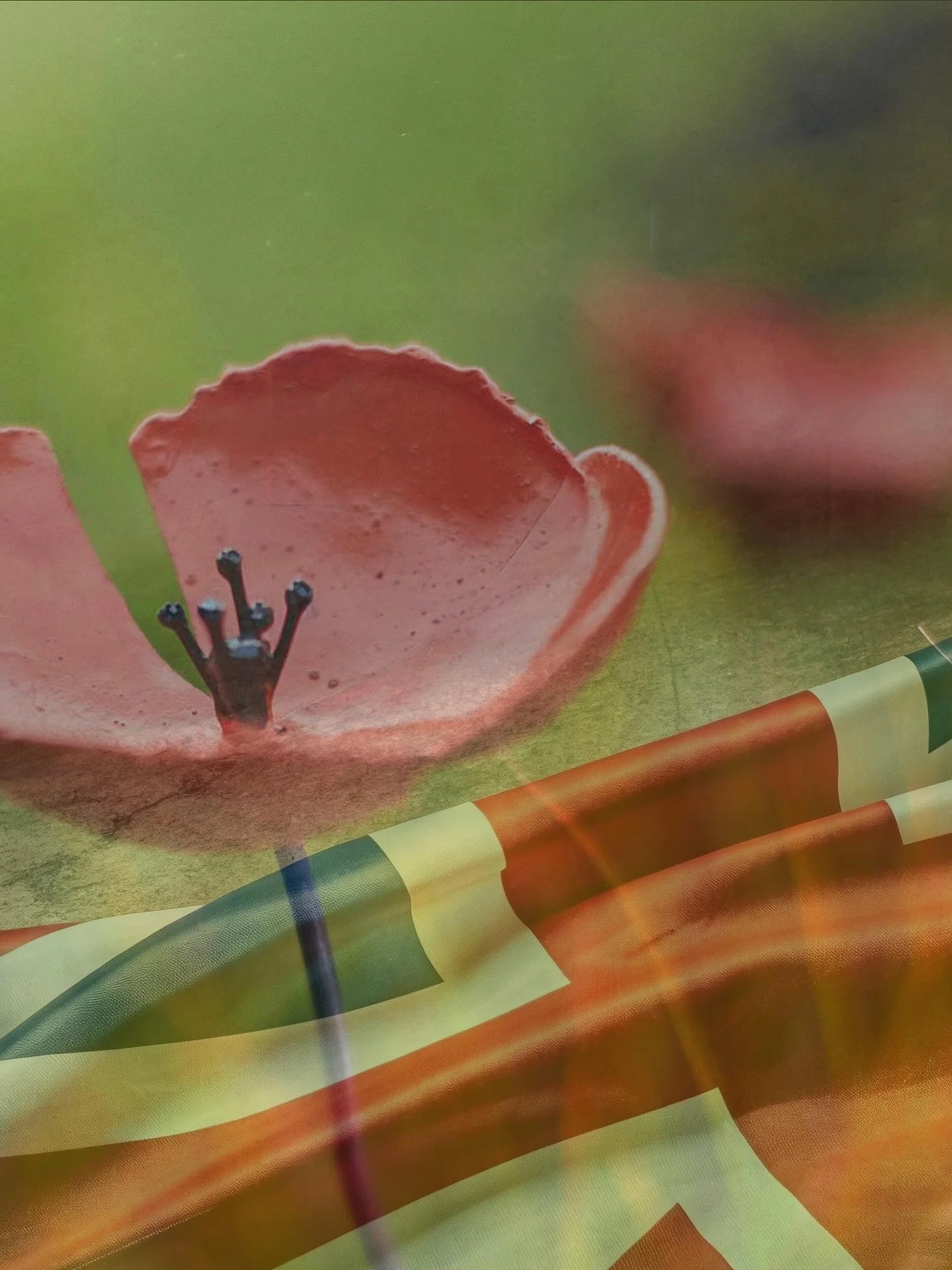 We will remember them.