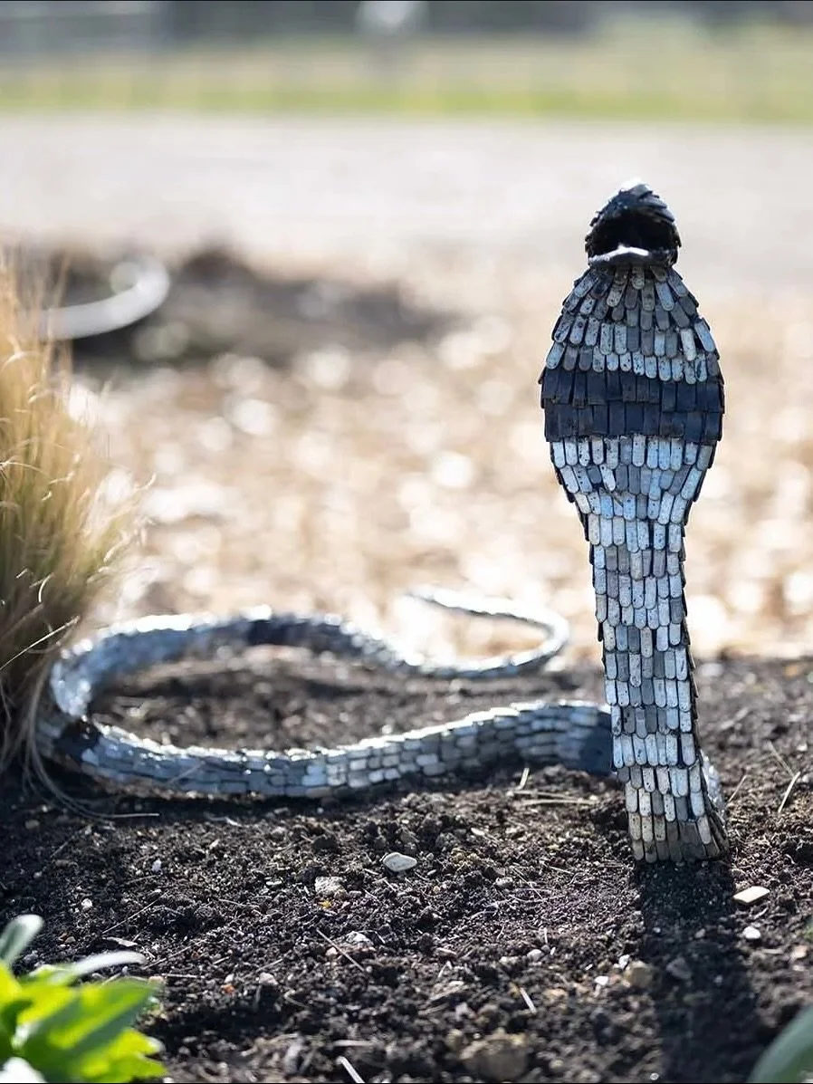 Spooky season is nearly here!
Bring a touch of mischief and wildlife character to your garden this Halloween with our handcrafted Chi-Africa sculptures. From the wily Mouse to the wise Owl, the sneaky Snake, the mischievous Frog, and our eight-legged