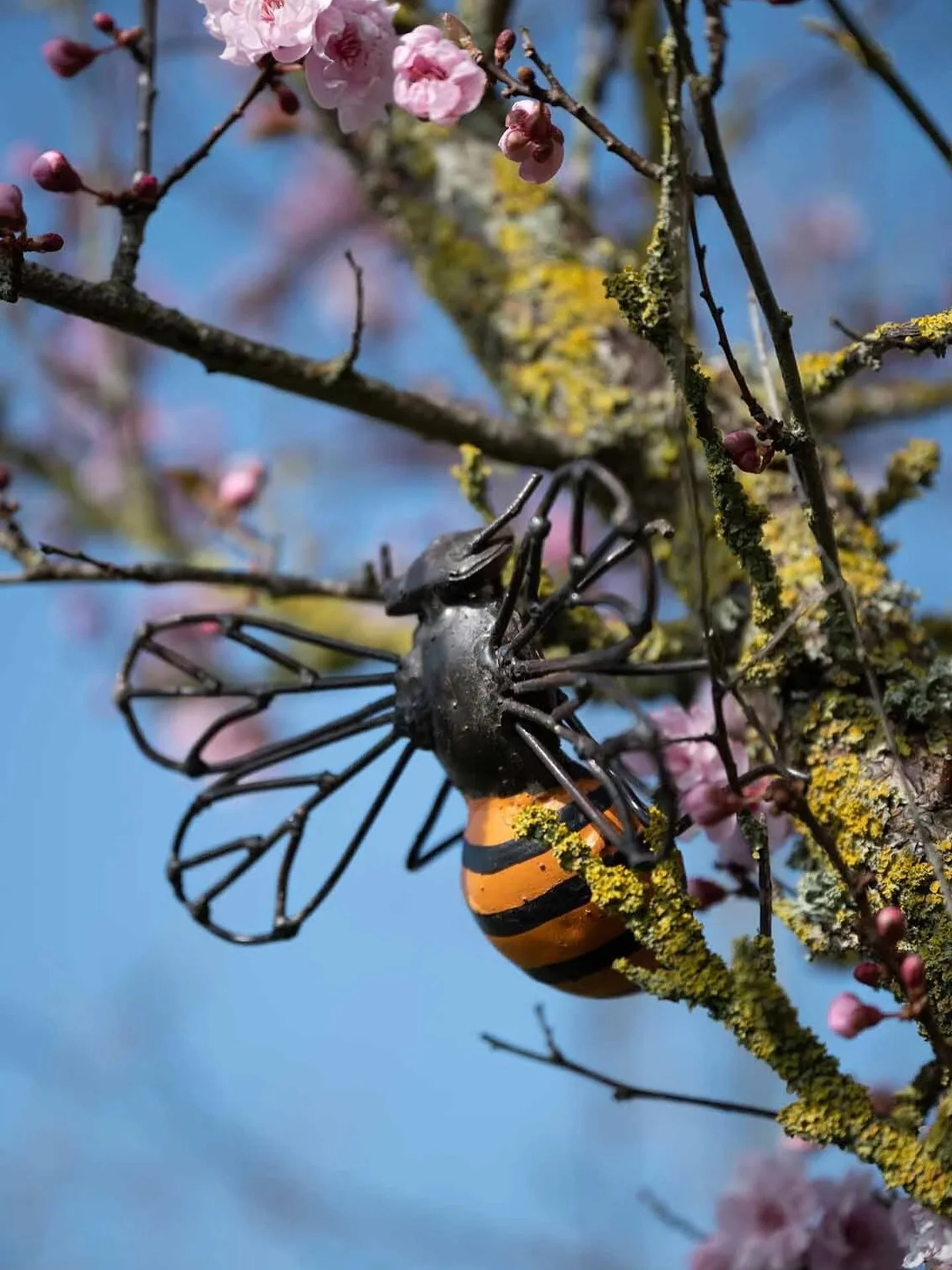 6 days until Spring!

Lighter mornings, longer evenings, and gardens just beginning to wake. We&rsquo;re counting down to the first signs of the new season after a long, wet winter! Here&rsquo;s to fresh colour, new growth, and brighter days ahead.
I