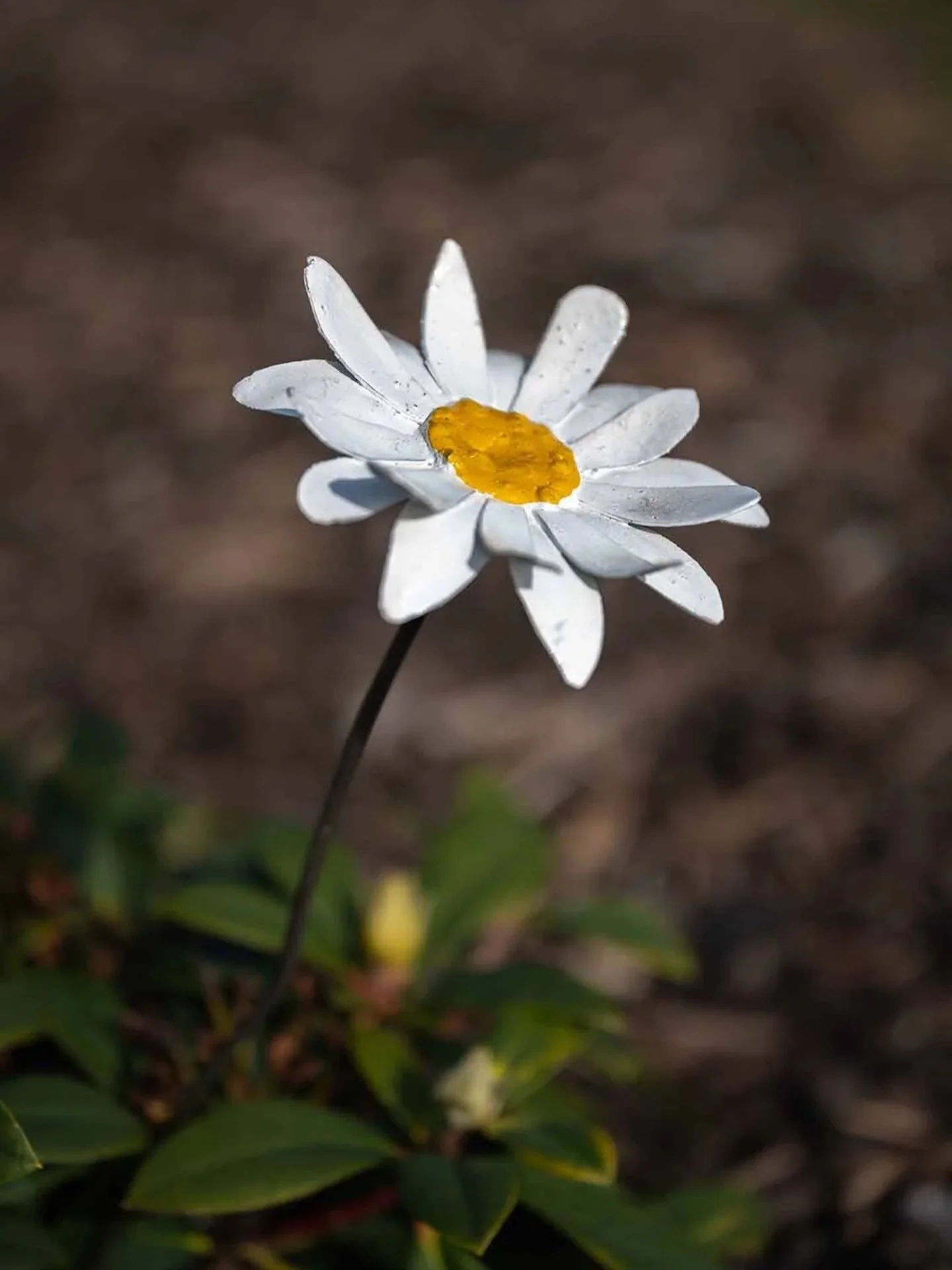 Bring a burst of colour and joy to your garden with our stunning handmade daisy ornaments, crafted in Zimbabwe from reclaimed metals. Each piece is carefully shaped and painted to create a vibrant, eco-friendly decoration that brightens any outdoor s