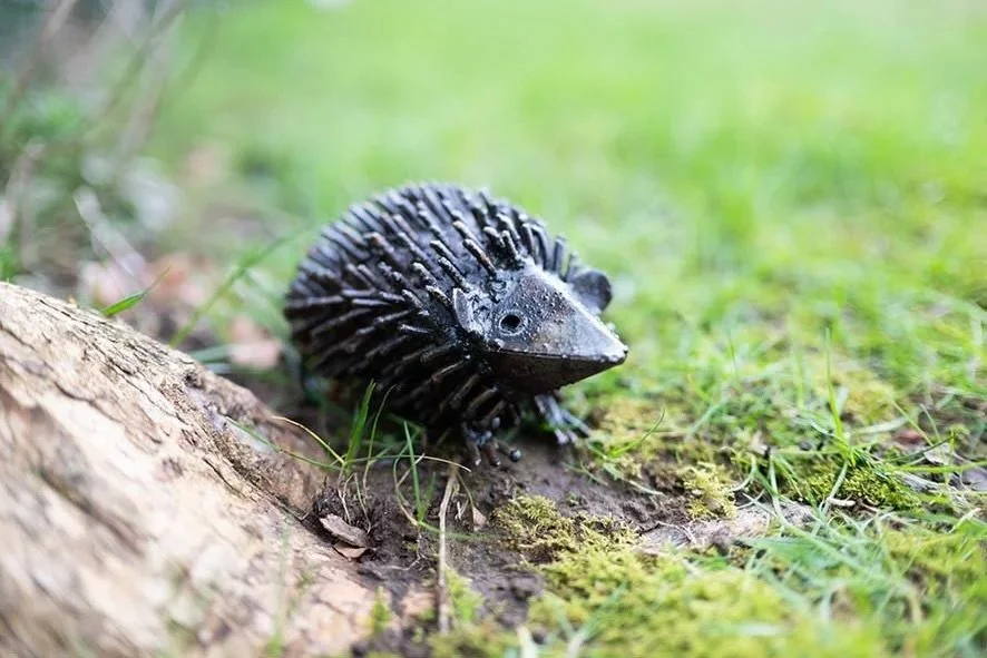 Endangered Species Day

Native hedgehog numbers in the UK have fallen dramatically in recent years, with populations declining by at least half. As farmland habitats disappear, wildlife-friendly gardens are becoming more important than ever.

Our han