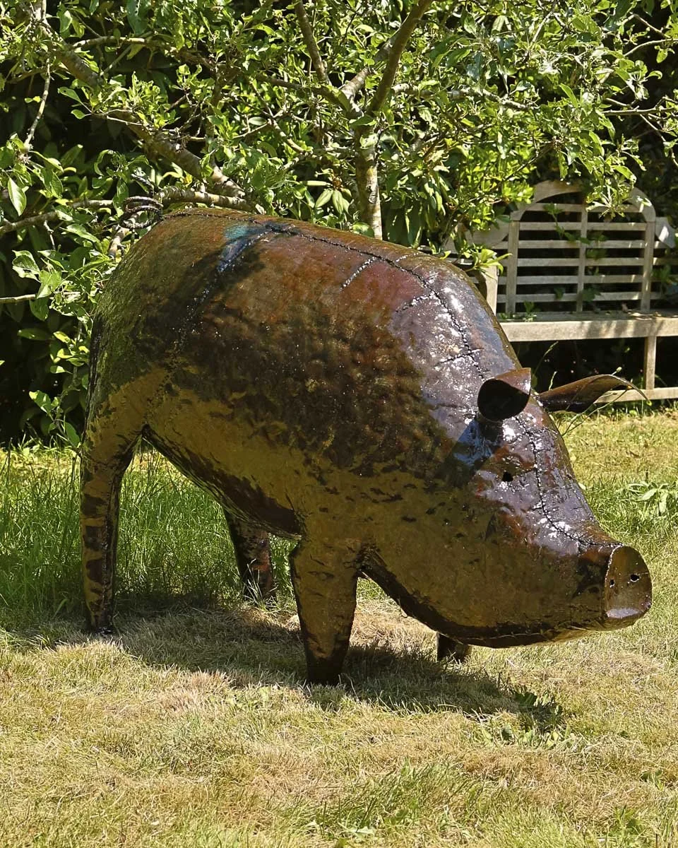 Pig2_large_LR1.jpg