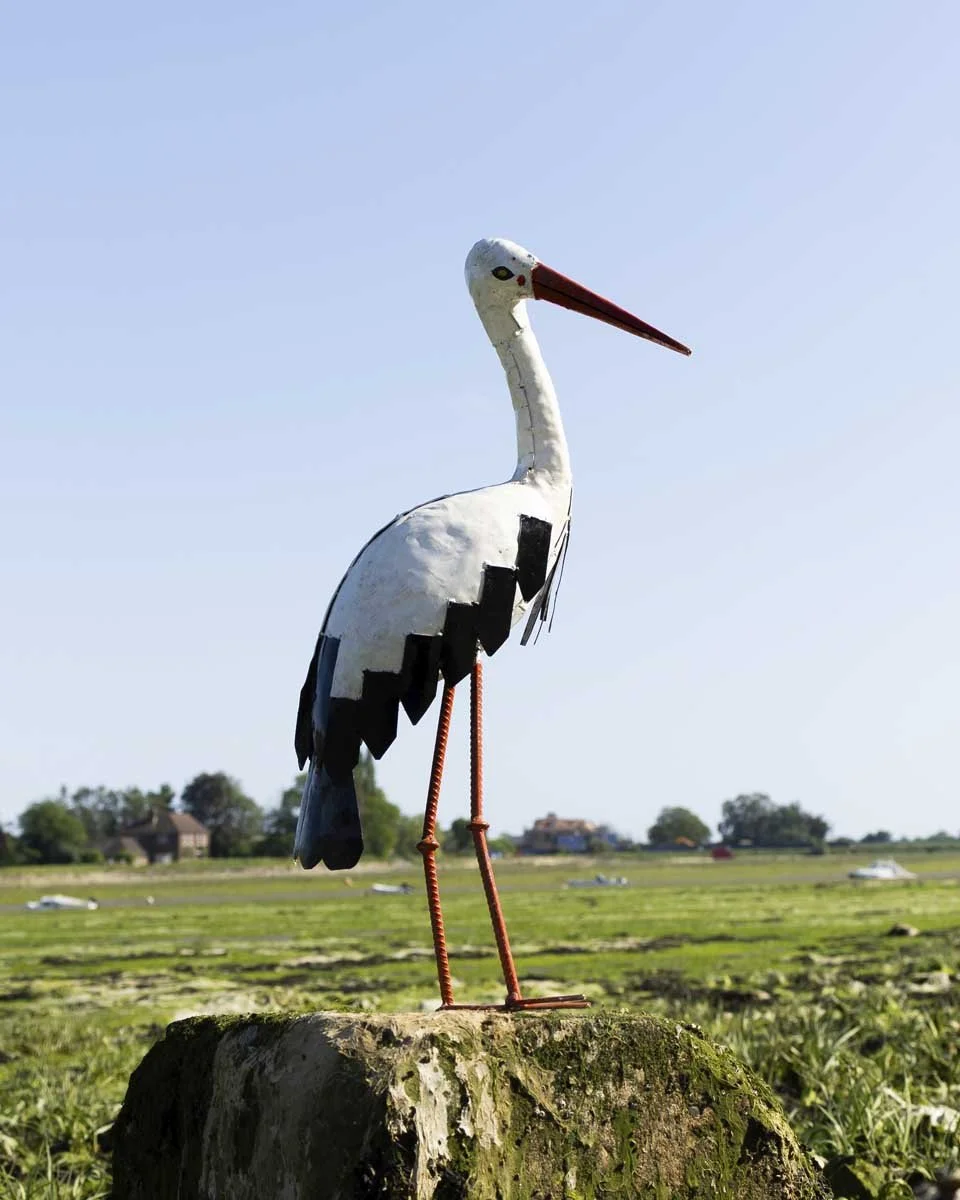 Painted Stork