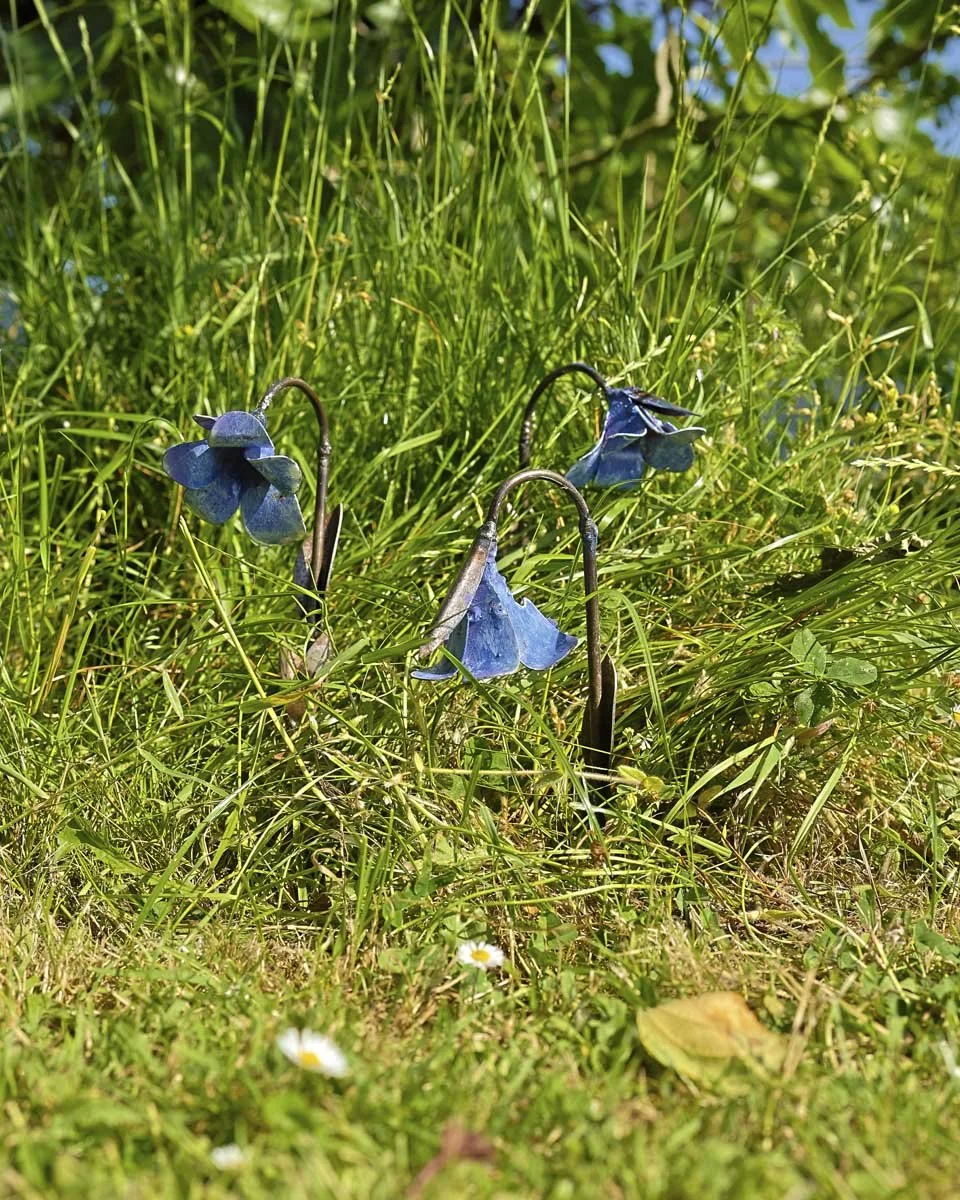 minibluebells_LR1.jpg