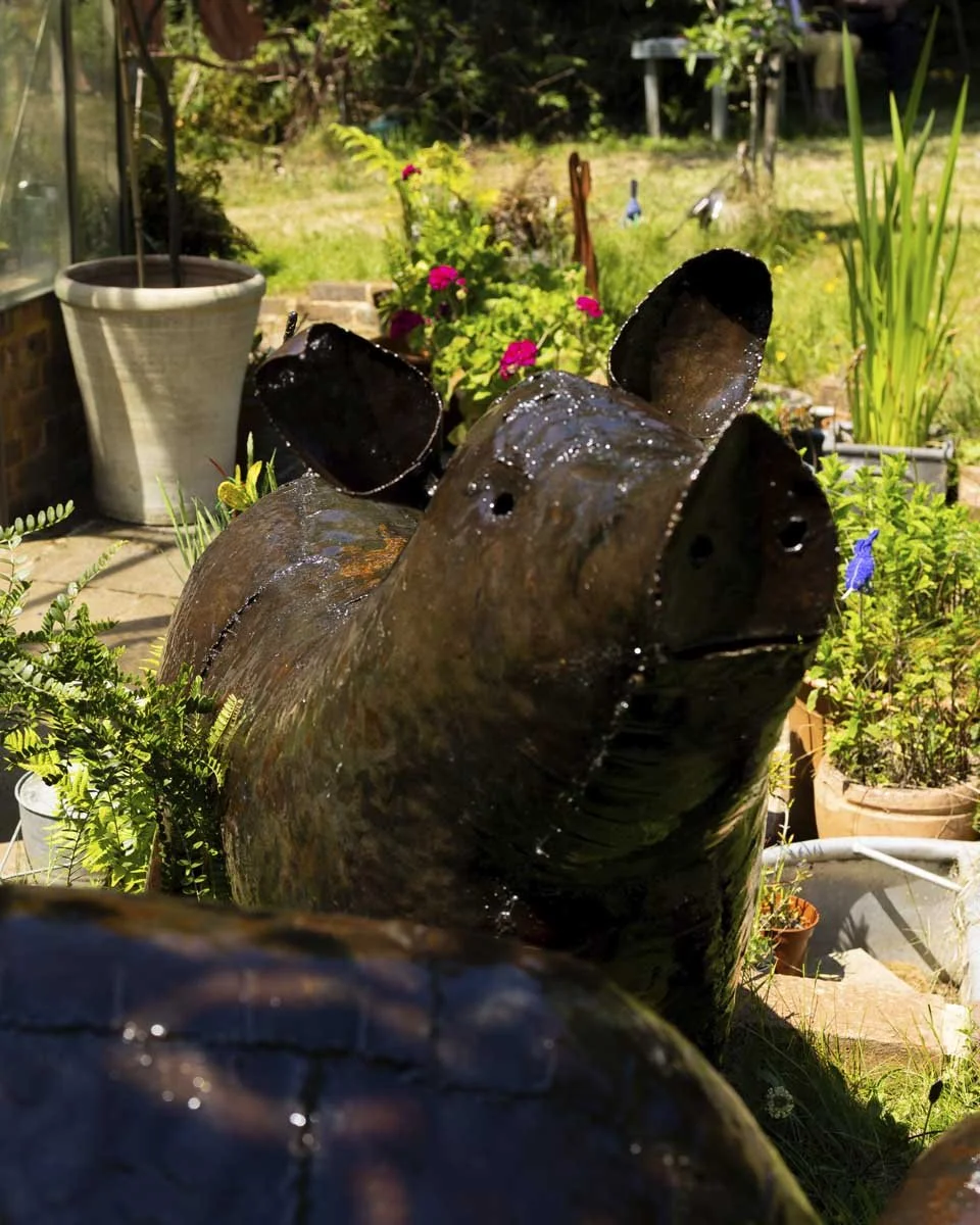 Pig_large_LR3.jpg